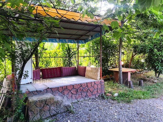 عکس شماره 468279 - اجاره ویلا باغ در تالش - 