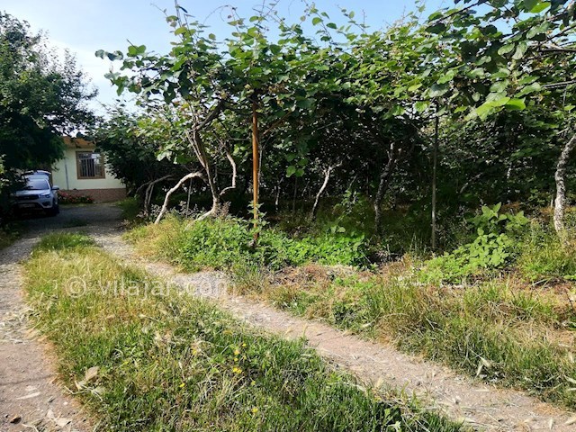 عکس شماره 468291 - اجاره ویلا باغ در تالش - 