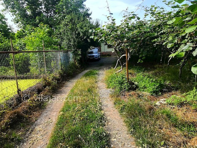 عکس شماره 468293 - اجاره ویلا باغ در تالش - 