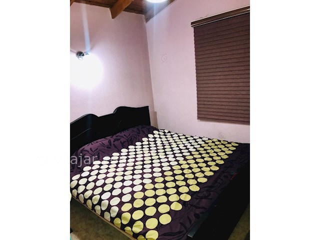 عکس شماره 470173 - ویلا اجاره ای در نشتارود - 