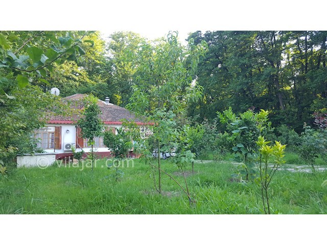 عکس شماره 471869 - ویلا با استخر روباز آبگرم تالش - 