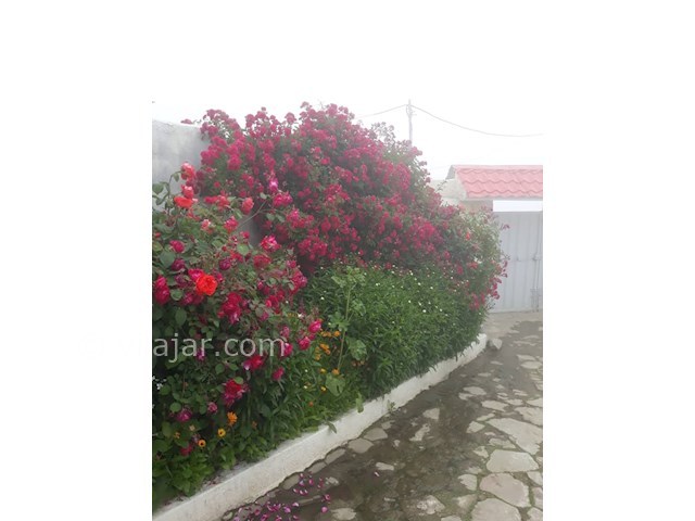 عکس شماره 473995 - ویلا اجاره ای در فیلبند -