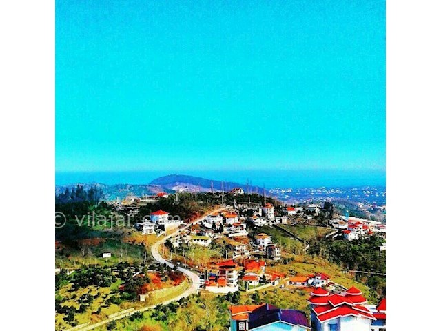 عکس شماره 474269 - اجاره ویلا جنگلی در رامسر - 