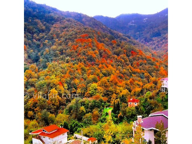 عکس شماره 474273 - اجاره ویلا جنگلی در رامسر - 