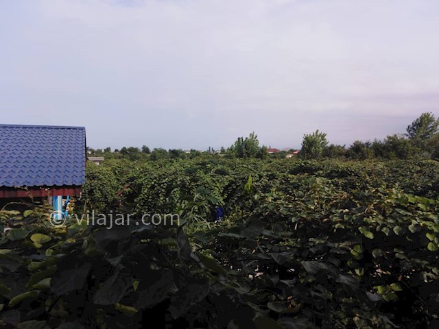 عکس شماره 475289 - خانه سنتی با استخر نیاسته رامسر - 