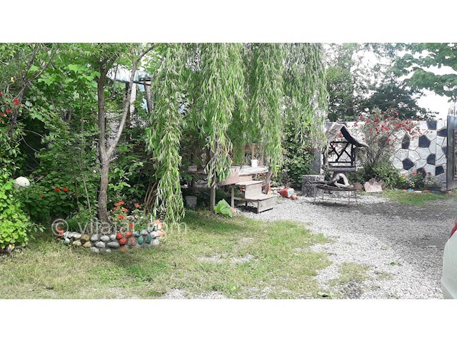 عکس شماره 475647 - اجاره ویلا استخر آبگرم در ماسال - درخت بید مجنون ویلا