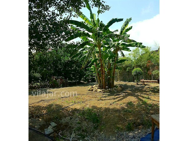 عکس شماره 477219 - کلبه چوبی در جنگل دالیخانی - 