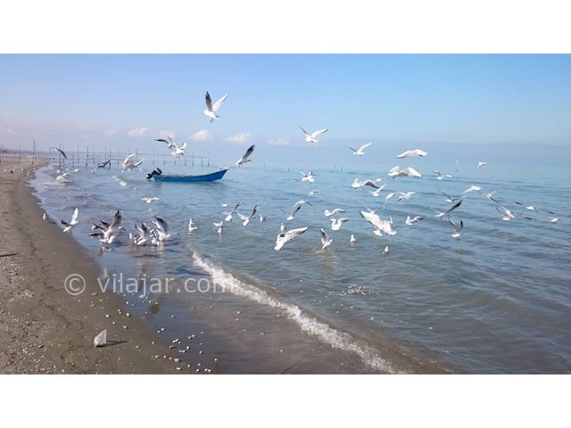 عکس شماره 477551 - ویلا در بندرانزلی لب ساحل - 