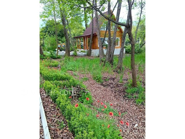 عکس شماره 477565 - ویلا چوبی استخردار در رامسر - 