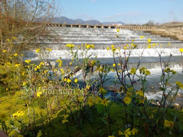 عکس شماره 477813 - اجاره ویلای روستایی در ماسال - پل و فضای سبز و رودخانه نزدیک ویلا 