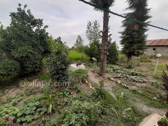 عکس شماره 477821 - اجاره ویلای روستایی در ماسال - حیاط ویلا که پر از سبزیجات و گل های زیباست 