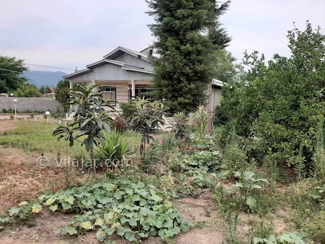 عکس شماره 477825 - اجاره ویلای روستایی در ماسال - 