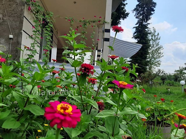 عکس شماره 477827 - اجاره ویلای روستایی در ماسال - 