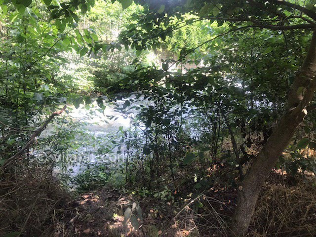 عکس شماره 478227 - ویلا در کلاردشت اجاره ای - 