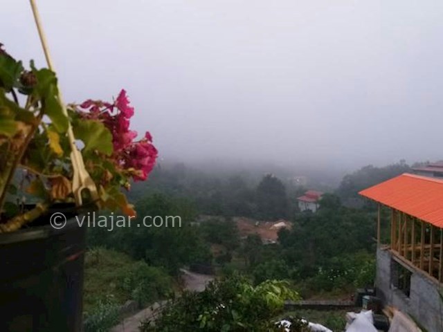 عکس شماره 480413 - اجاره کلبه جنگلی در لفور - 