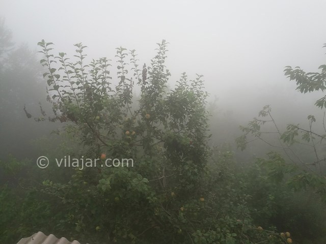 عکس شماره 481877 - خانه جنگلی در جنت رودبار - 