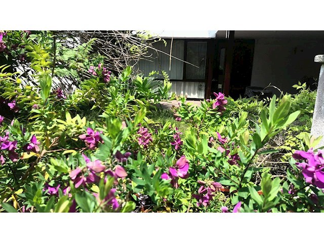 عکس شماره 487763 - اجاره ویلا در شهرک دریاکنار - 