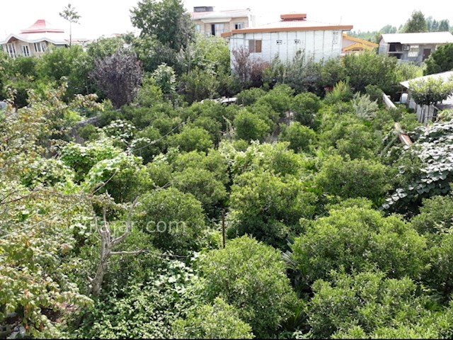 عکس شماره 489343 - اجاره سوییت در تنکابن - 