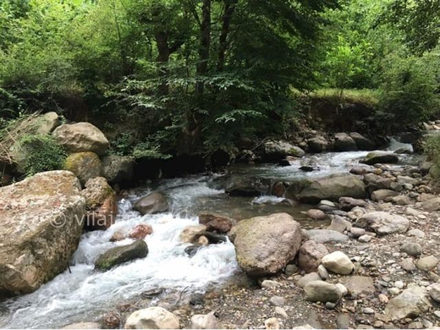 عکس شماره 489823 - اقامتگاه بومگردی ننه کلثوم - 