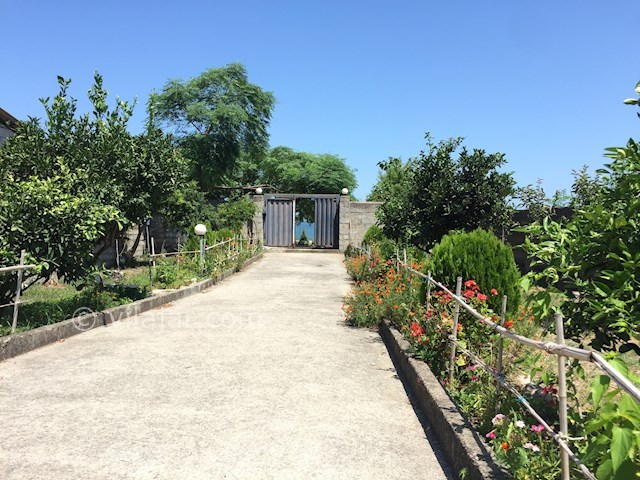 عکس شماره 491451 - اجاره ویلا لب دریا چالکرود - 