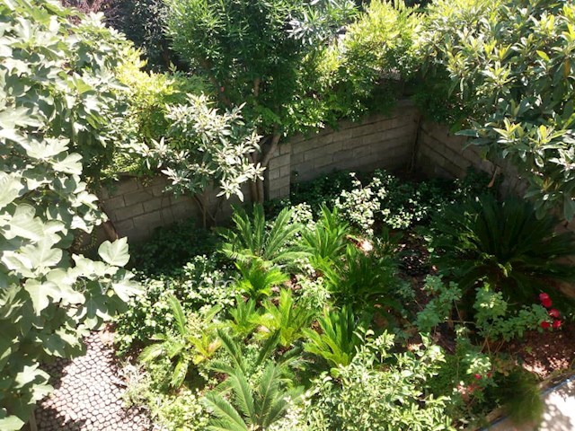 عکس شماره 491781 - اجاره اقامتگاه در رامسر - 