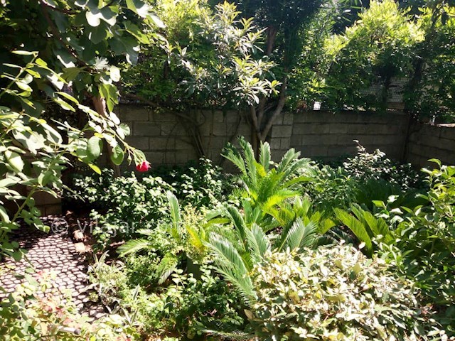 عکس شماره 491785 - اجاره اقامتگاه در رامسر - 