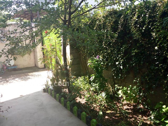 عکس شماره 491787 - اجاره اقامتگاه در رامسر - 