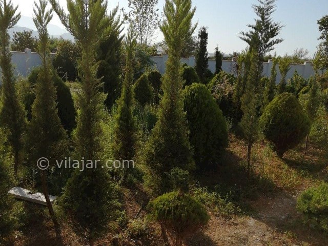 عکس شماره 492443 - اجاره واحد در رامسر - 