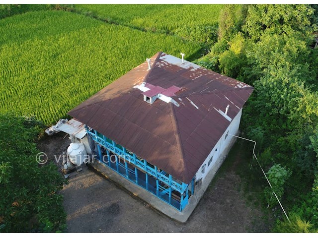 عکس شماره 492549 - اقامتگاه وارش نزدیک رودبار - 