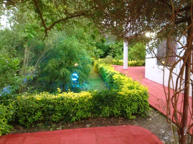 عکس شماره 49325 - اجاره ویلا در دریاکنار - 