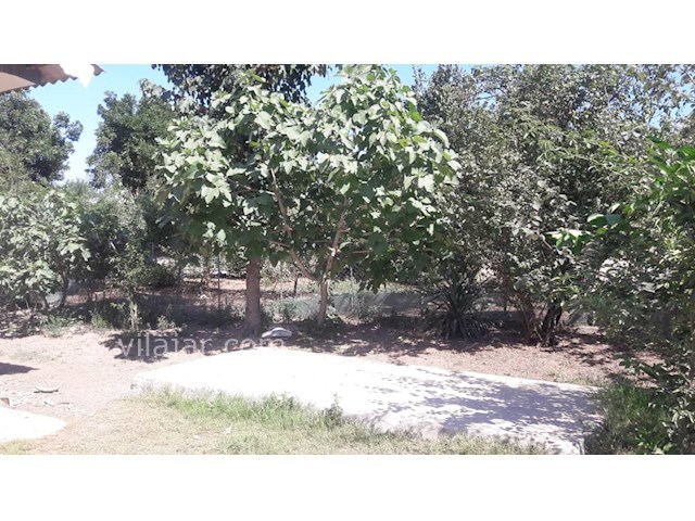 عکس شماره 493285 - اجاره خانه ویلایی در تالش - 