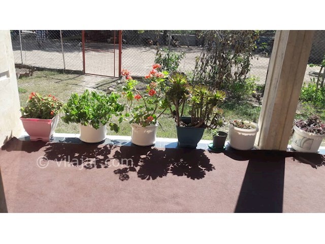 عکس شماره 493307 - اجاره خانه ویلایی در تالش - 