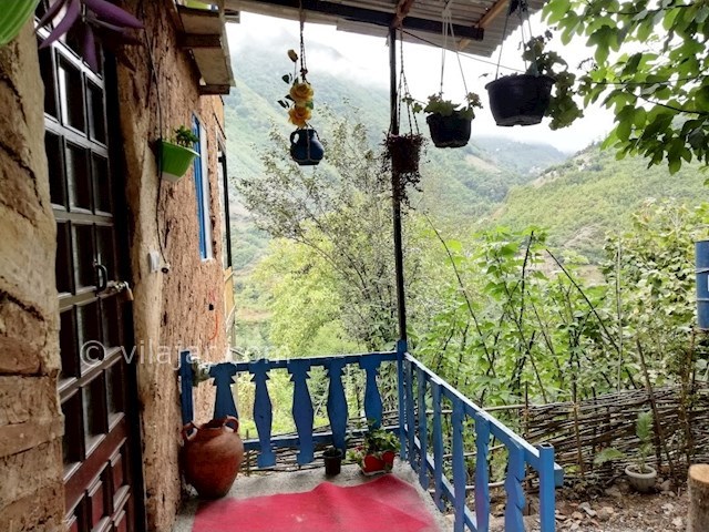 عکس شماره 495277 - اقامتگاه سنتی جاده دو هزار تنکابن - 