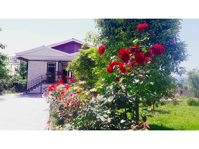 عکس شماره 496097 - اجاره ویلای ساحلی در تالش - 