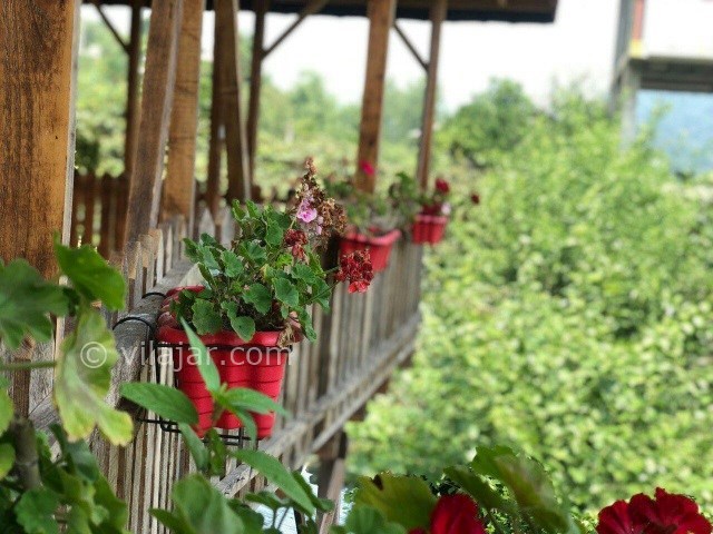 عکس شماره 496531 - ویلا چوبی استخردار جنگل دالخانی - گلکاری در تراس ویلا