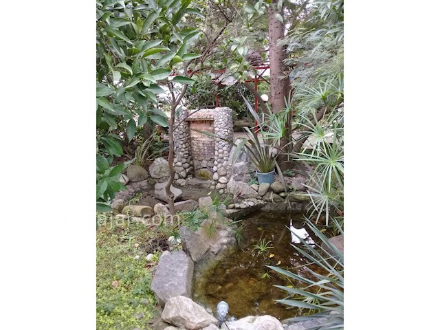 عکس شماره 497155 - اجاره ویلا ساحل اختصاصی - 