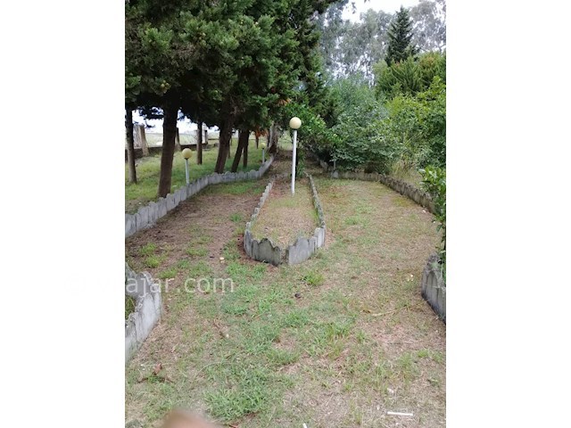 عکس شماره 497161 - اجاره ویلا ساحل اختصاصی - 