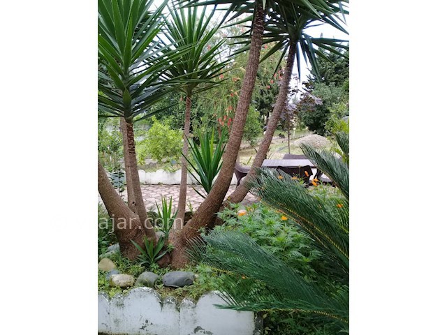 عکس شماره 497163 - اجاره ویلا ساحل اختصاصی - 