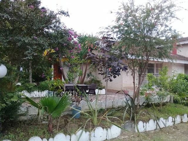 عکس شماره 497167 - اجاره ویلا ساحل اختصاصی - 