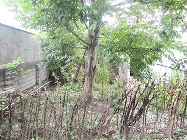 عکس شماره 497849 - اجاره سوییت در شیرگاه - 