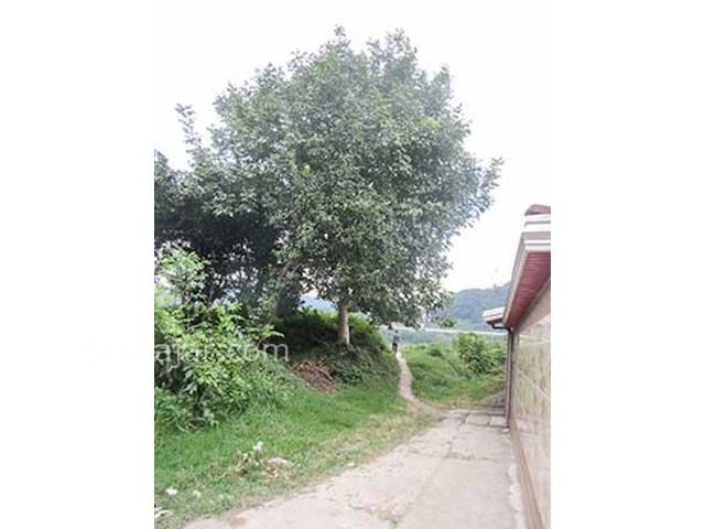 عکس شماره 497855 - اجاره سوییت در شیرگاه - 