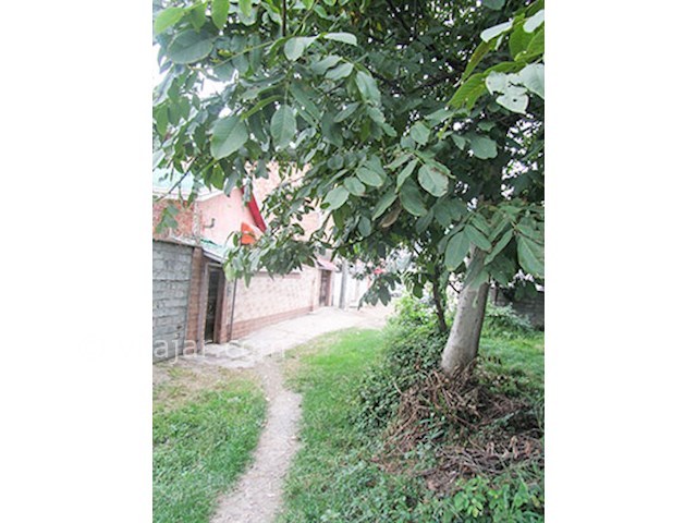 عکس شماره 497863 - اجاره سوییت در شیرگاه - 