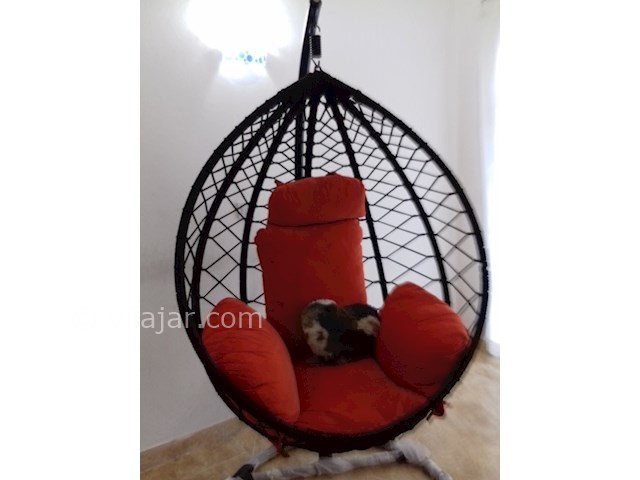 عکس شماره 498547 - اجاره ویلا فلت در متل قو - 