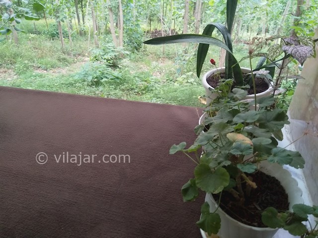 عکس شماره 498599 - اجاره اقامتگاه نقلی در ماسال - 