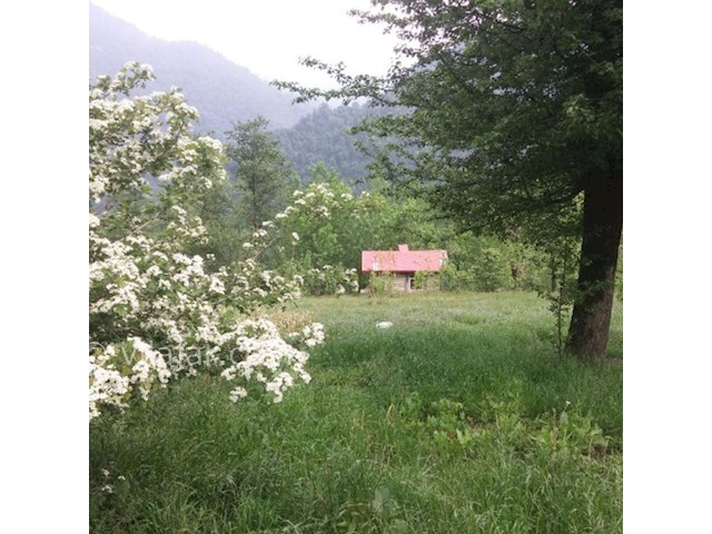 عکس شماره 498601 - اجاره اقامتگاه نقلی در ماسال - 