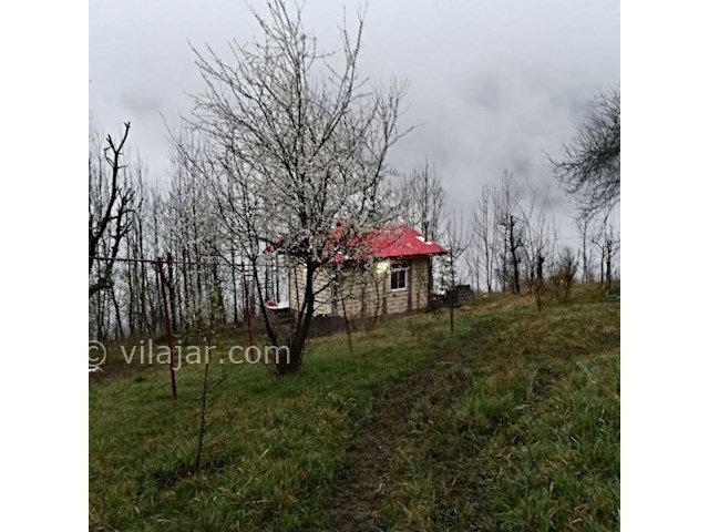 عکس شماره 498603 - اجاره اقامتگاه نقلی در ماسال - 