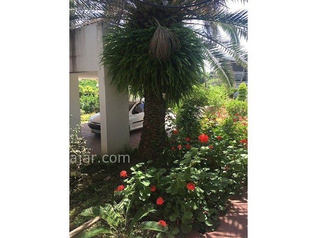 عکس شماره 49905 - ویلای اجاره ای در دریاکنار - 