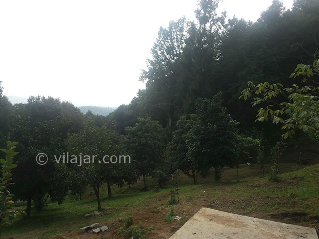 عکس شماره 501695 - اجاره کلبه در جاده 2000 تنکابن - 