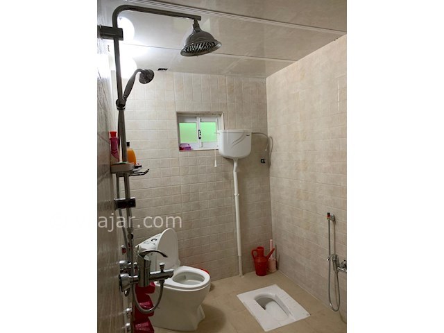 عکس شماره 501715 - اجاره کلبه در جاده 2000 تنکابن - 