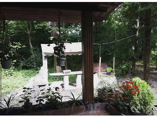 عکس شماره 502809 - ویلا باغ روستایی جاده سراوان - 